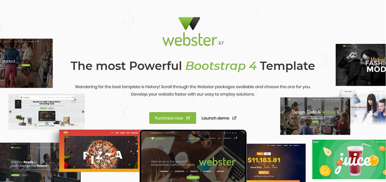 Webster-Photography-Template