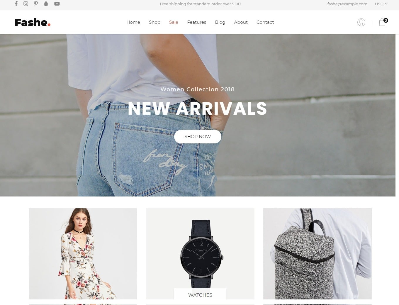 fashe-store-shop-website-template