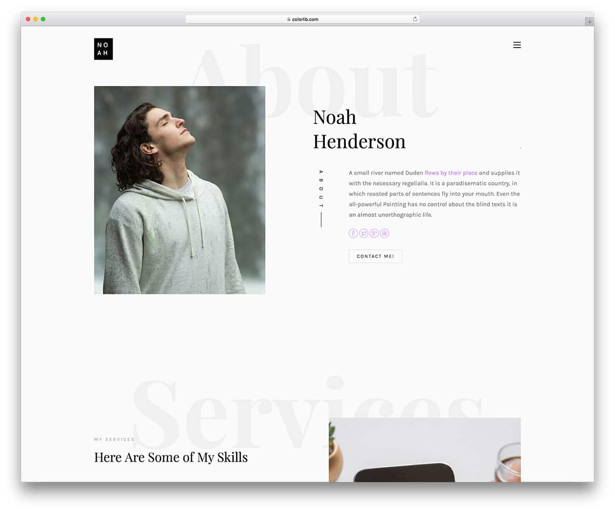 48 Free Minimal Website Templates For All Famous Niches