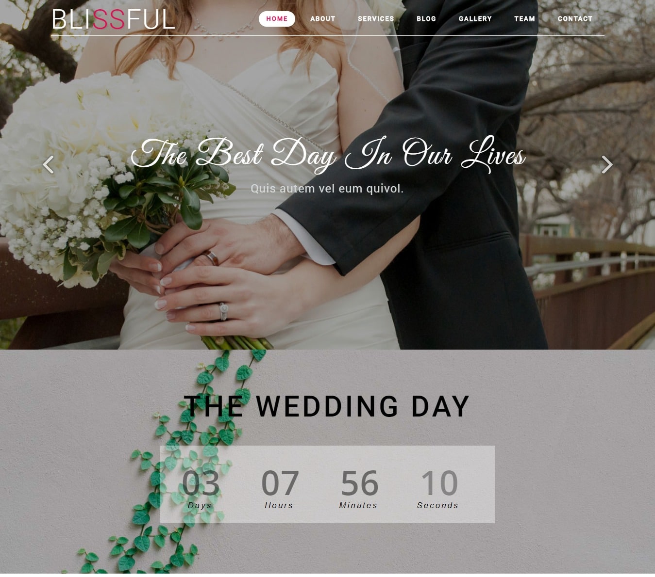 28+ Free HTML Wedding Website Template Options For 2020