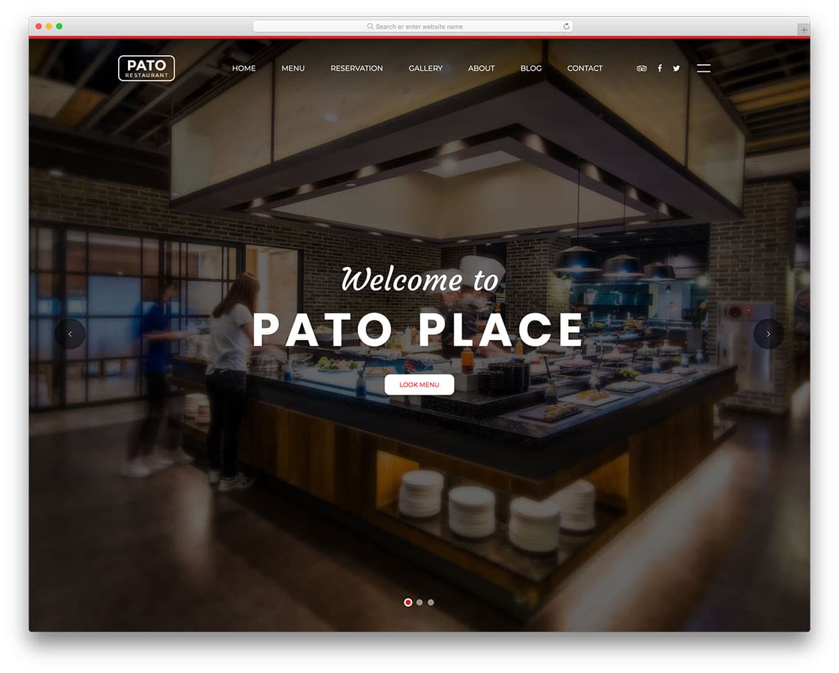 pato-free-hair-salon-website-templates