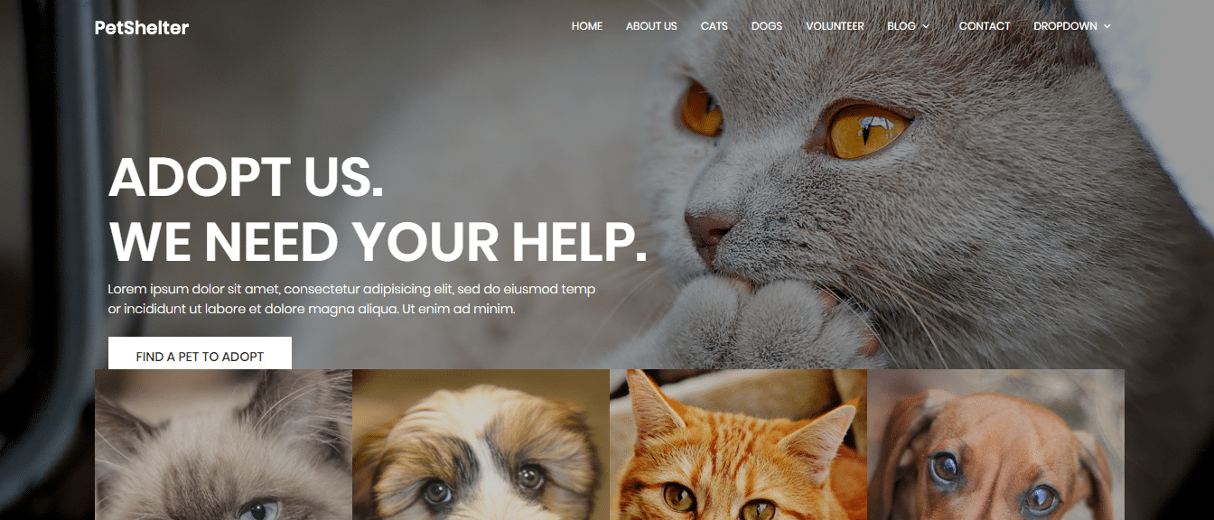 35+ Free Animal & Pets Website Template For Animal Based Sites