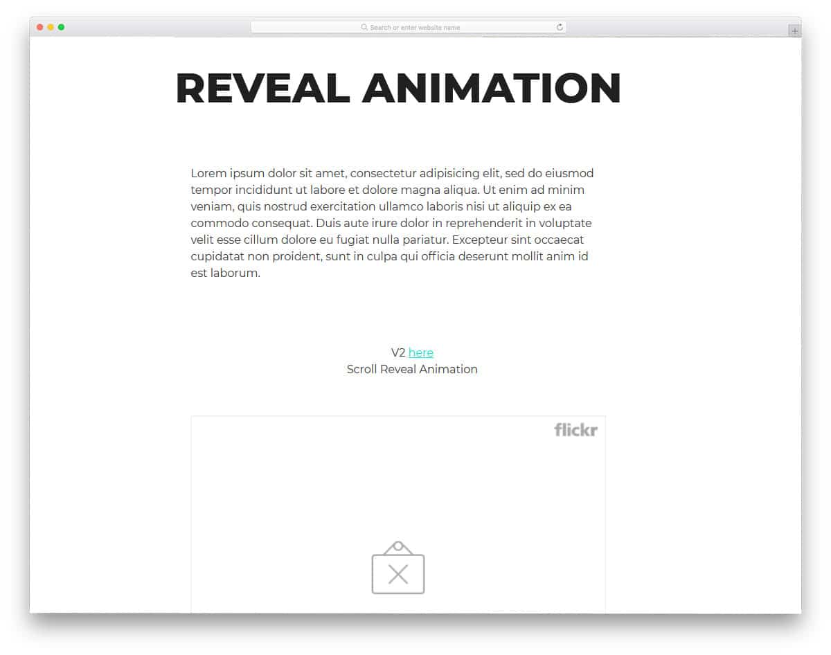 CSS-Reveal-Animation