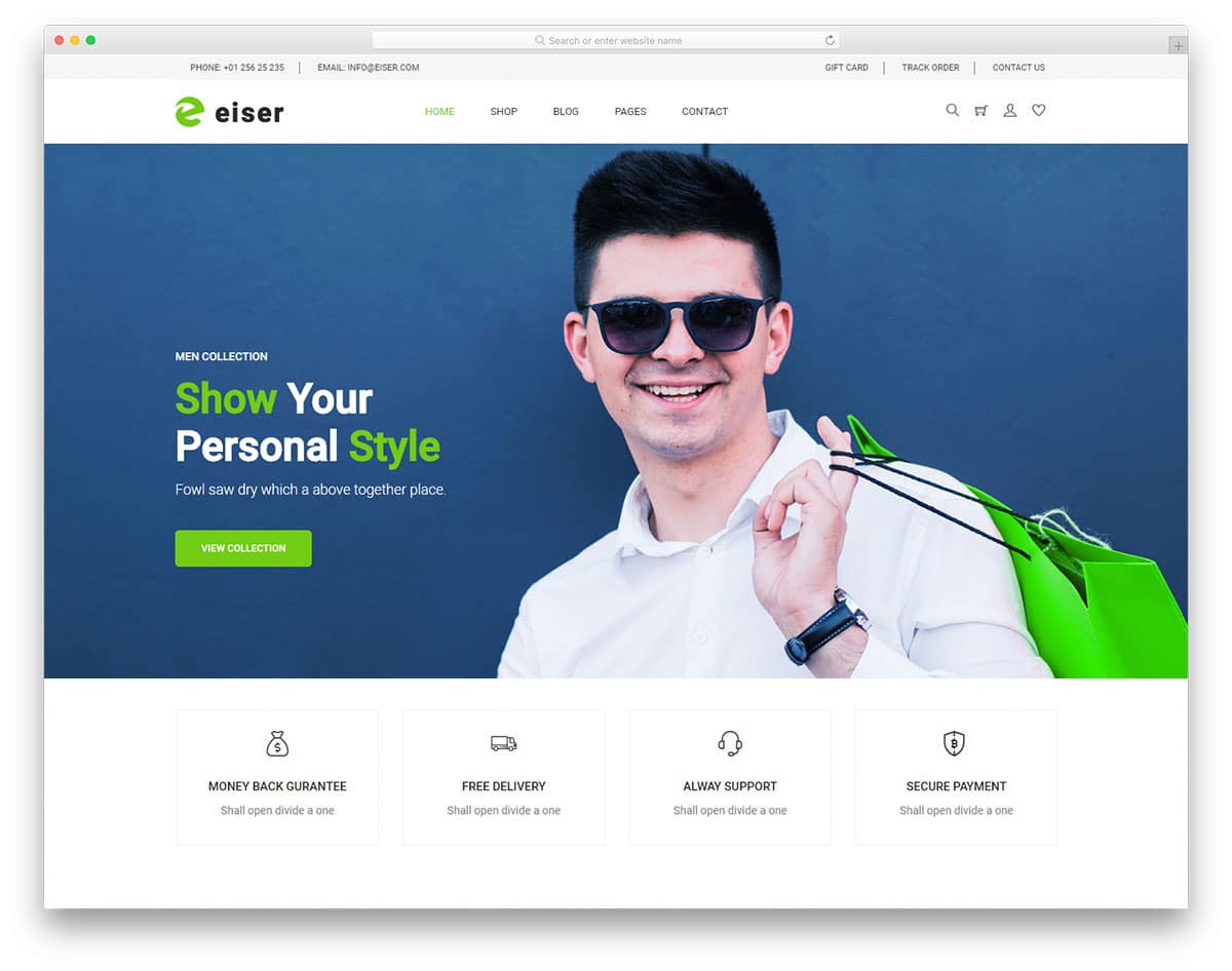 eiser-free-html-website-templates