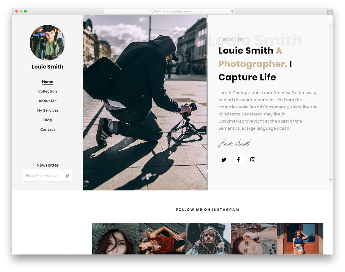 louie-html-online-resume-templates
