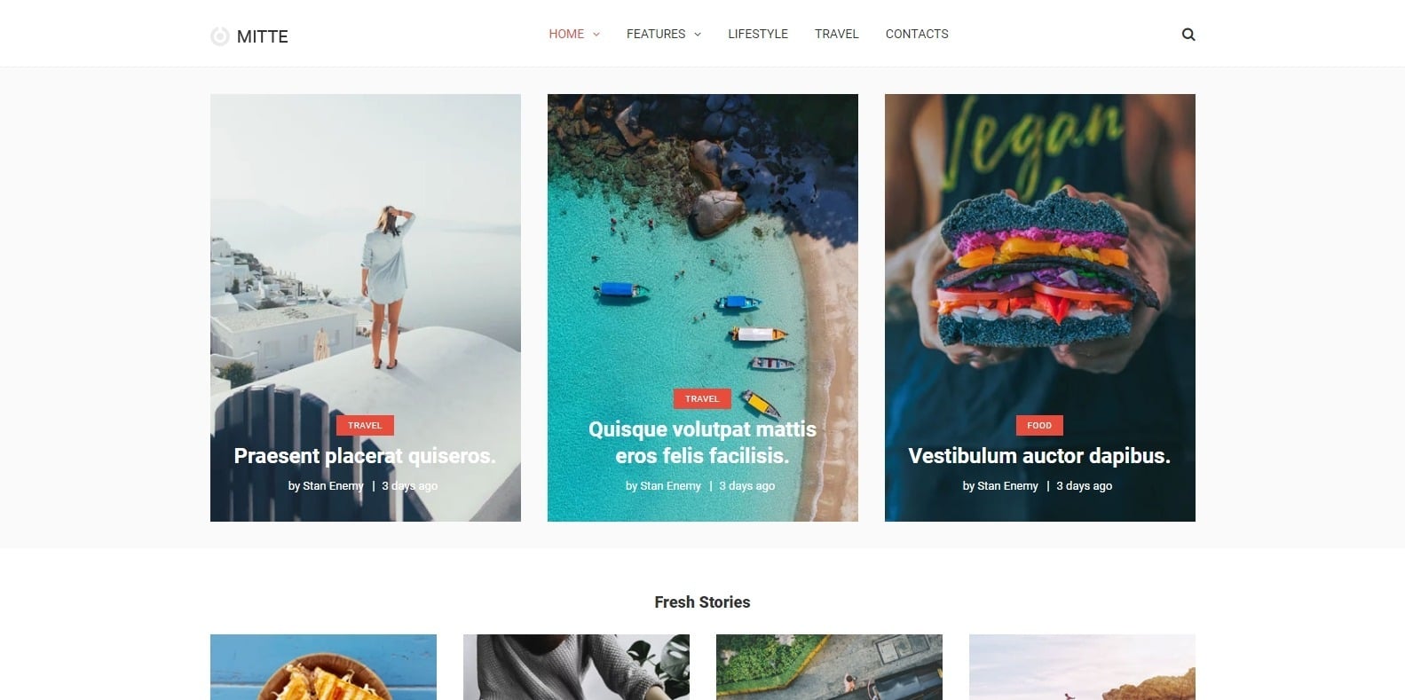 mitte-blog-website-template