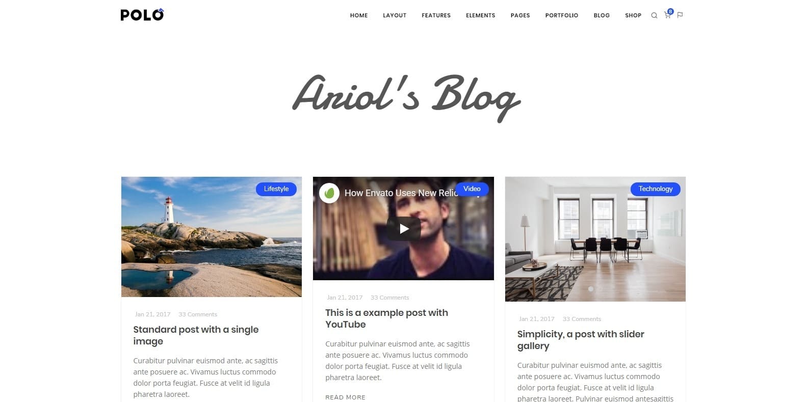 polo-blog-website-template