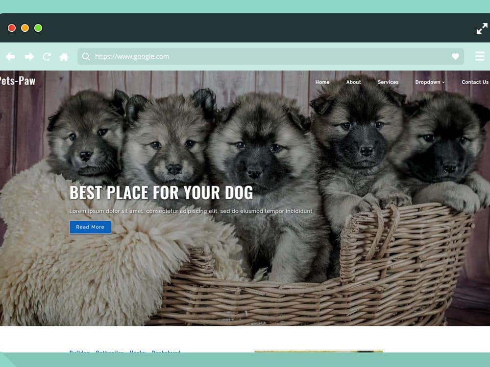 free-animal-pet-website-template