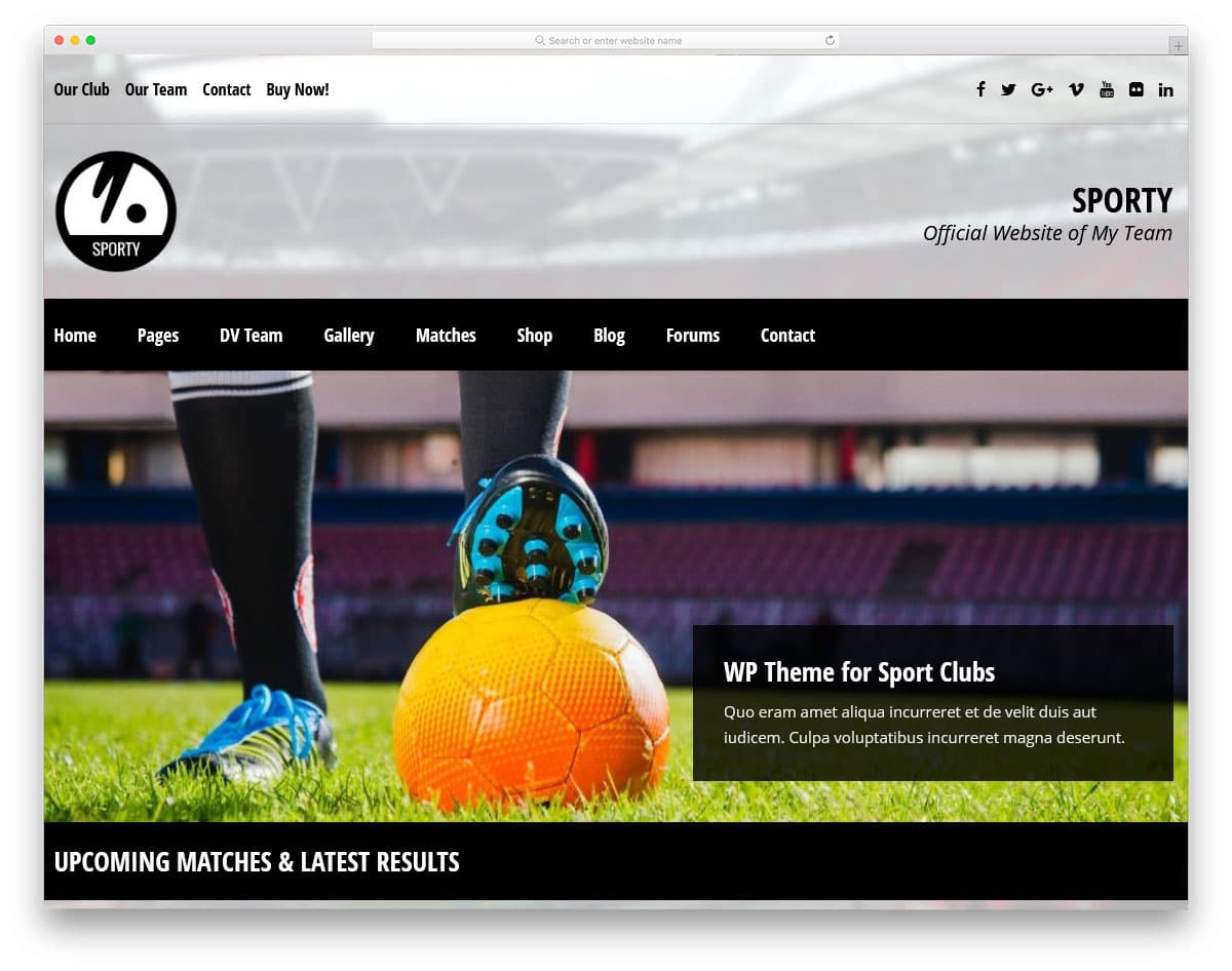 sports website theme with flexible customization option