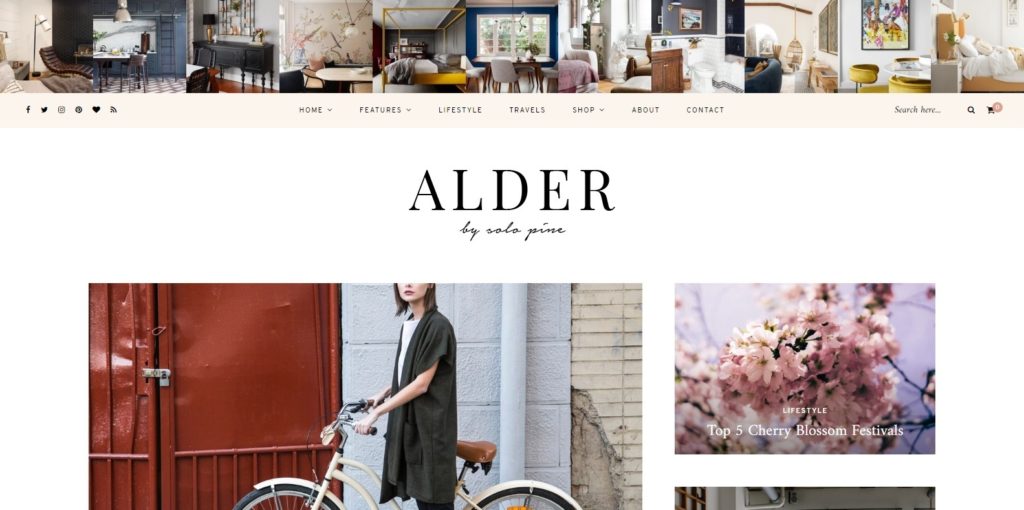 27 Creative Food Blog Website Template & WordPress Themes For 2021