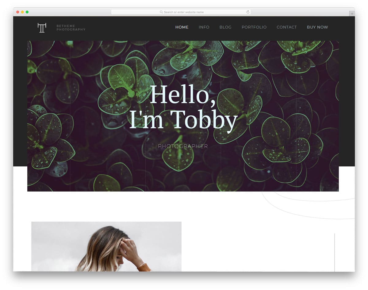 accessible WordPress theme for photography websites