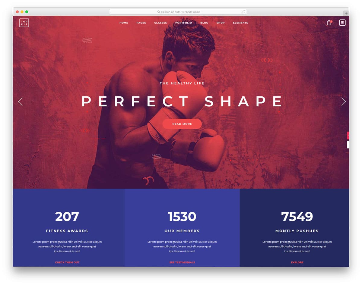modern and interactive martial arts wordpress themes