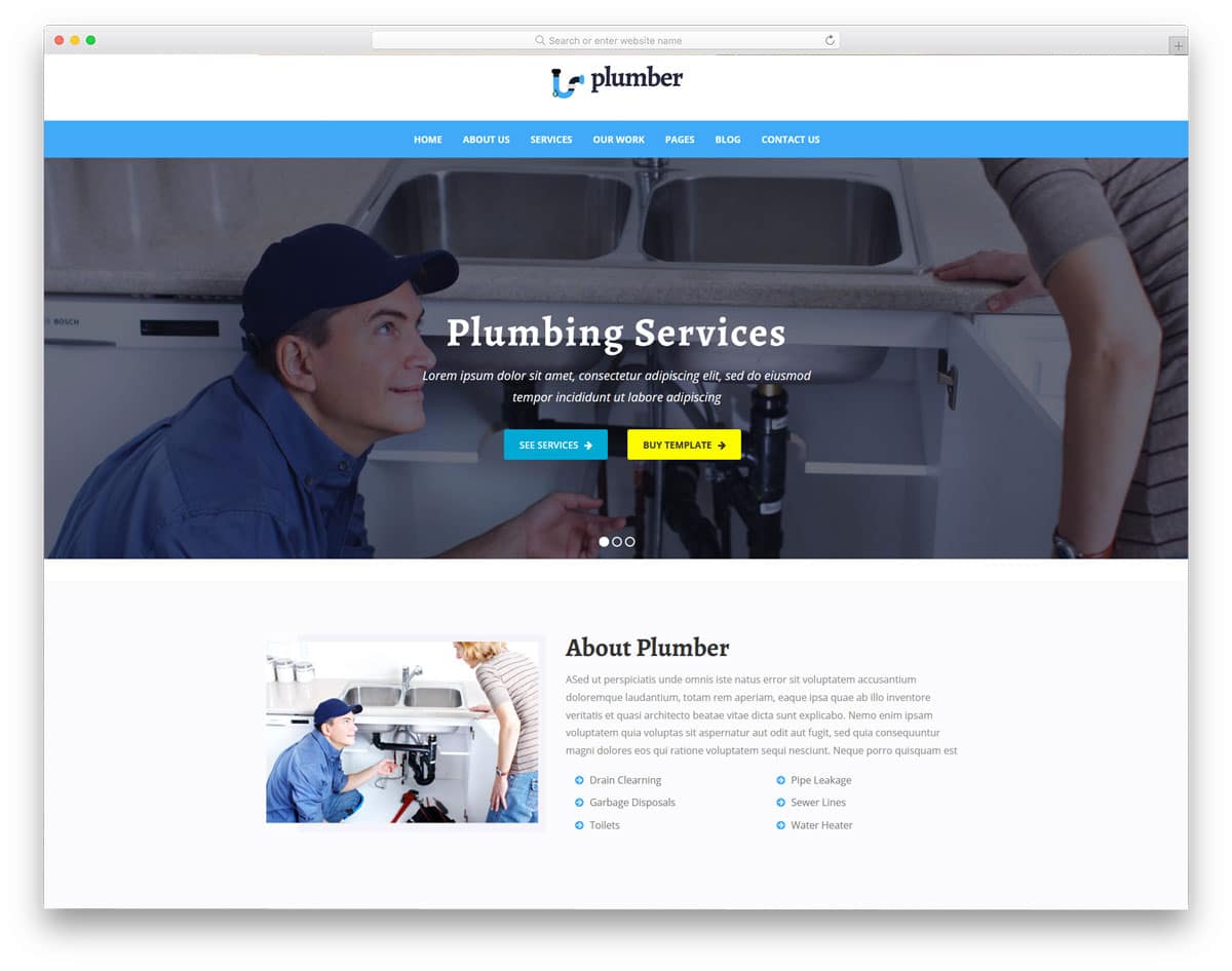 plumber wordpress themes with multiple demos