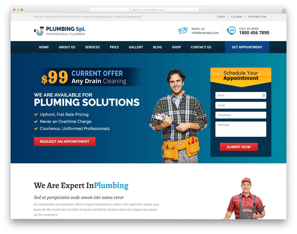 plumbing wordpress themes with promotional elements