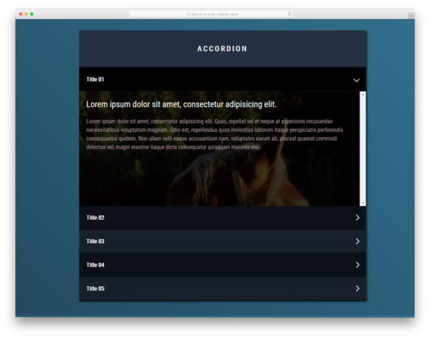 33 Bootstrap Accordion Examples To Gracefully Handle Huge Contents