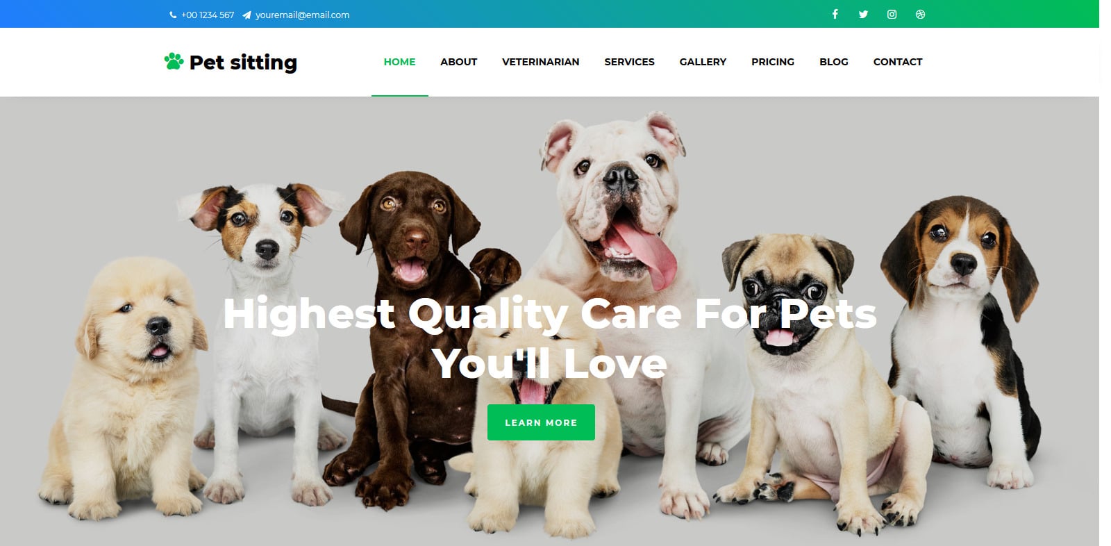 35+ Free Animal & Pets Website Template For Animal Based Sites