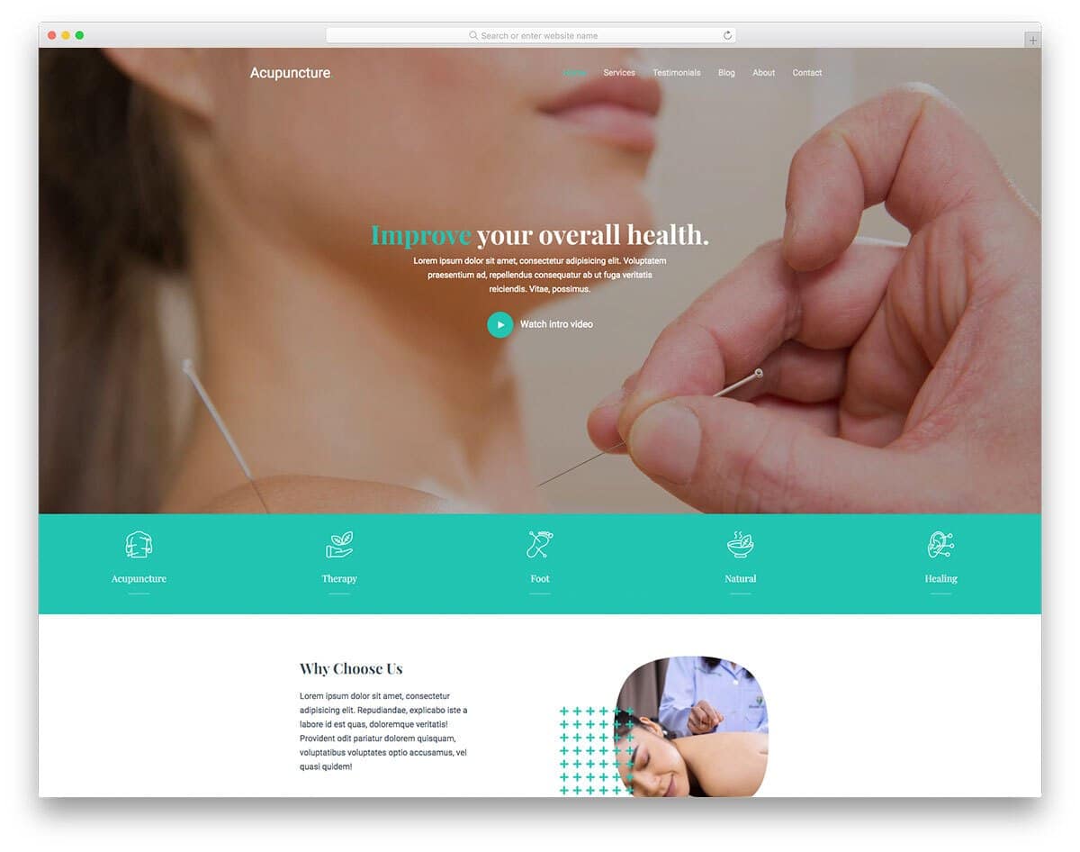 acupuncture doctor and clinic website template