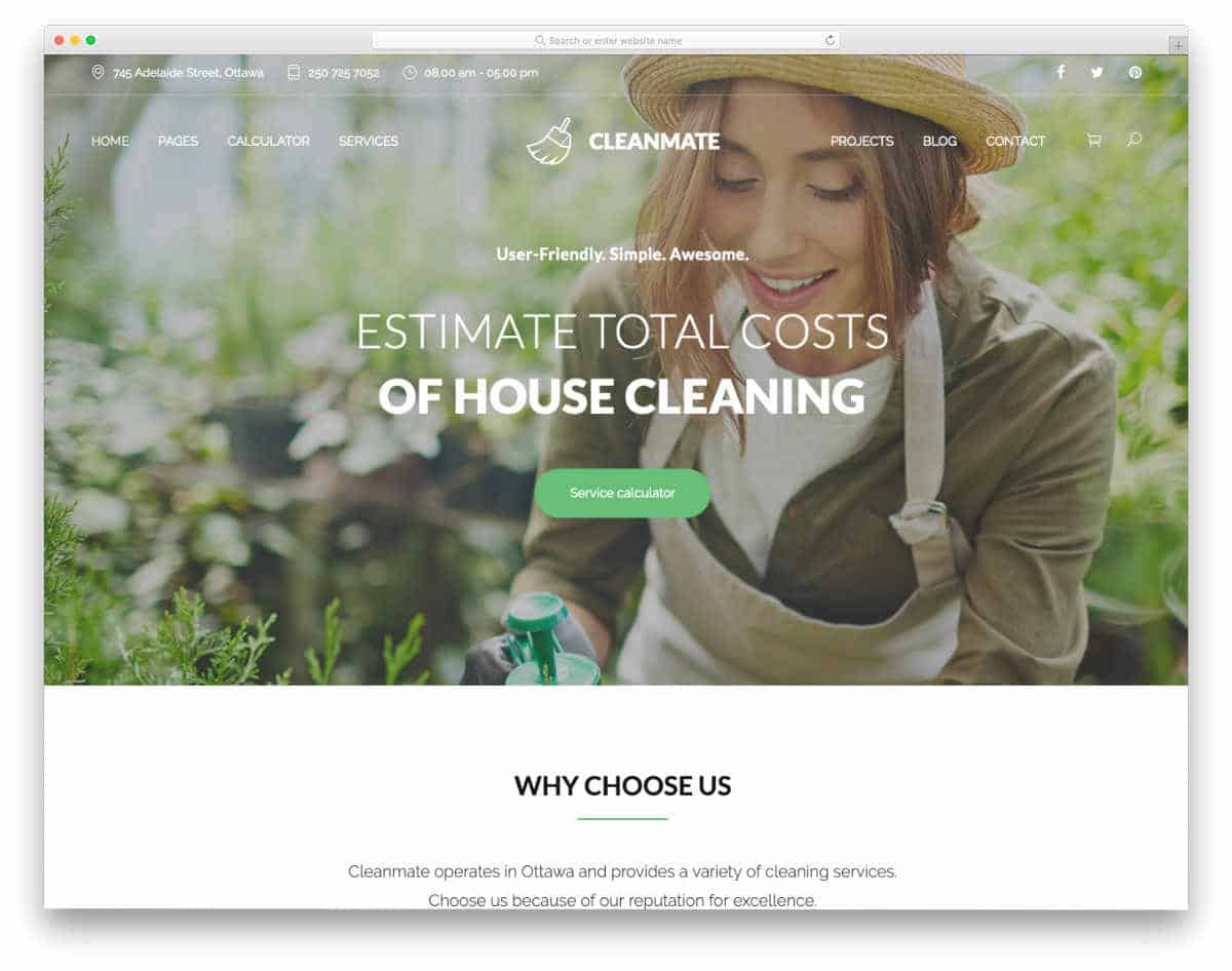 multipurpose carpet cleaning website template