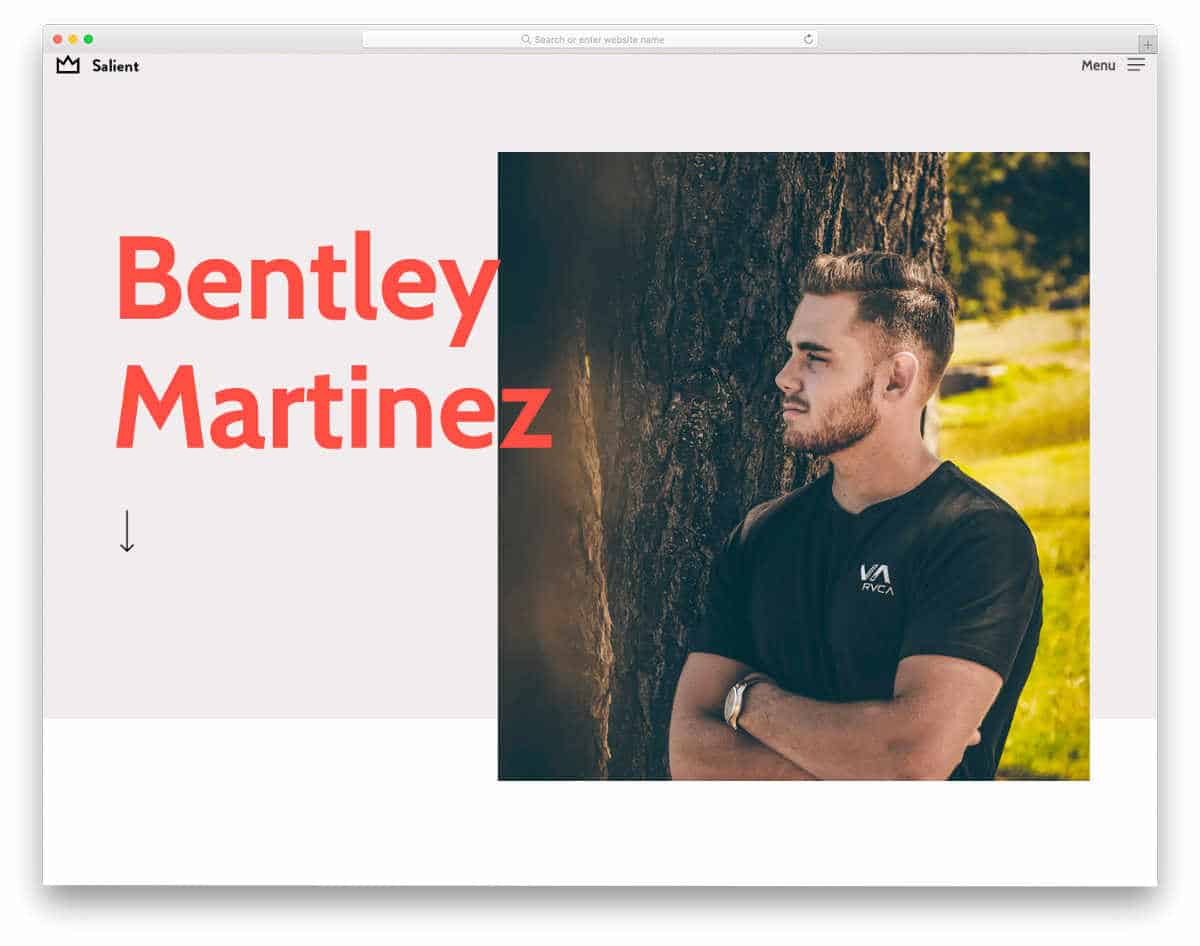 usr-friendly wordpress theme