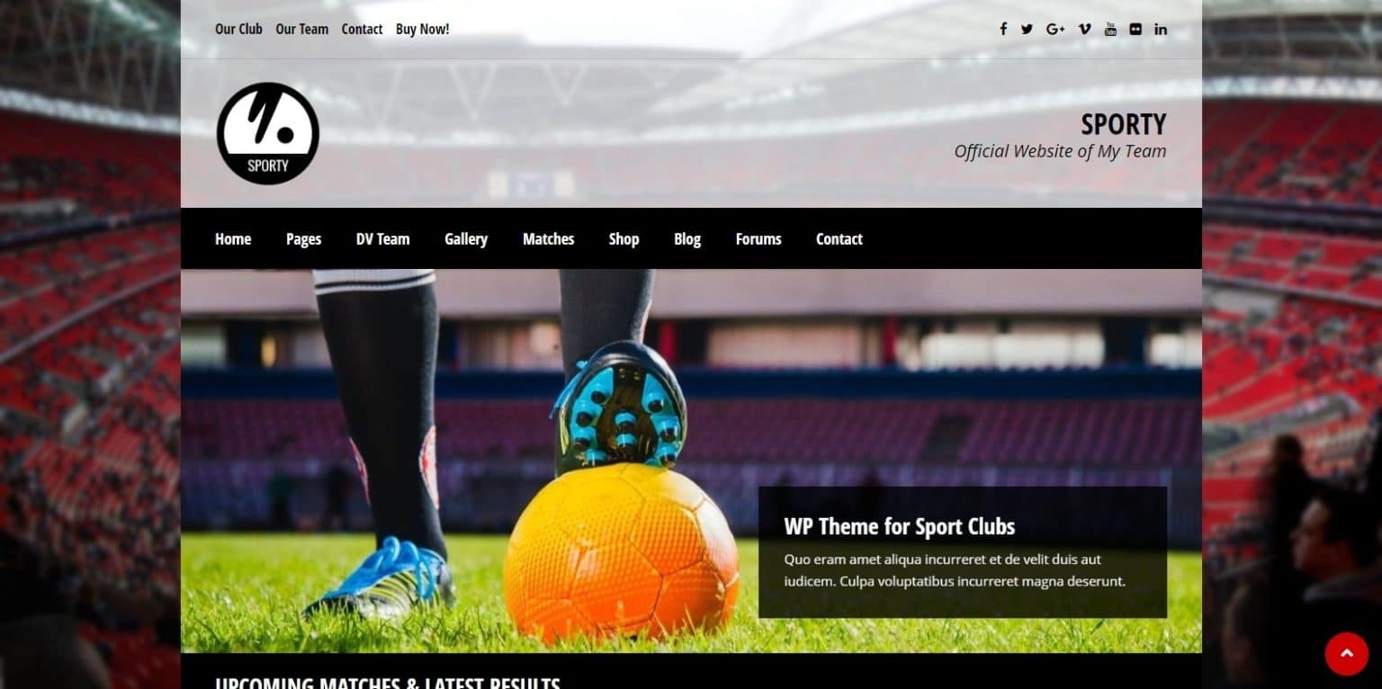 15-creative-wordpress-softball-website-template-2021