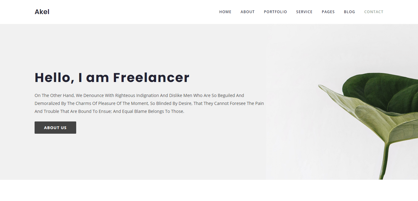 akel-minimal-website-template