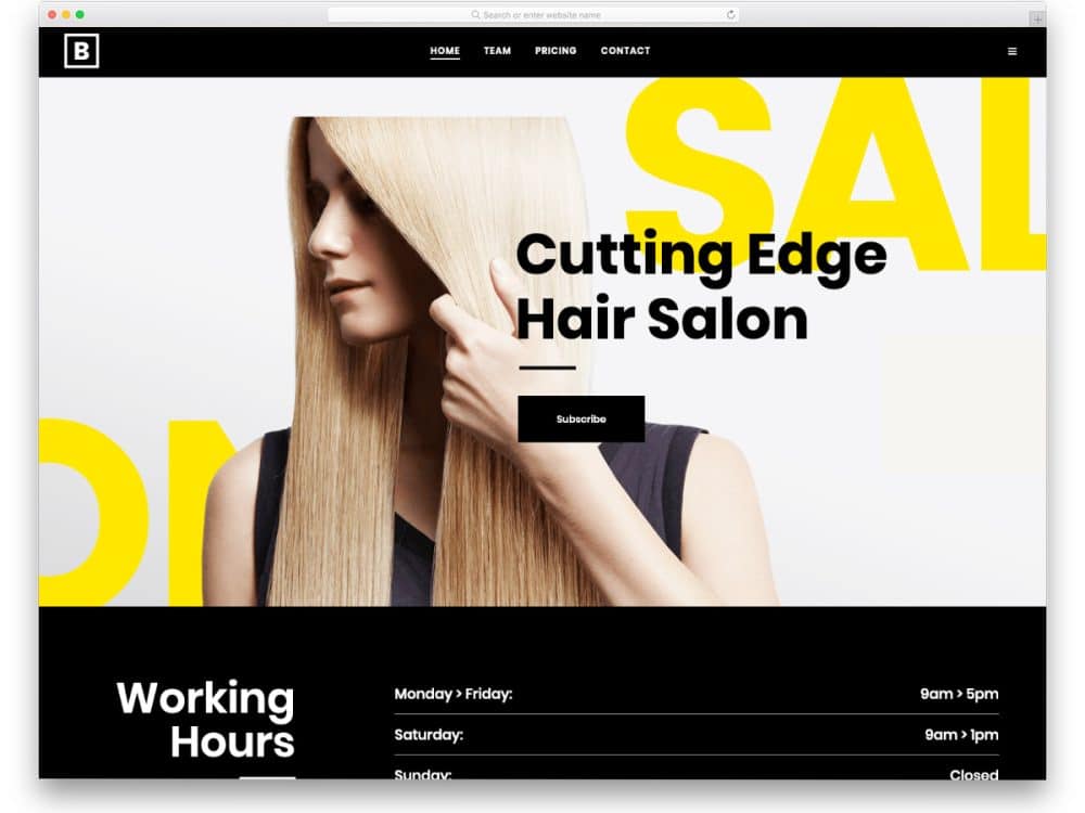 Hair Salon Web Templates