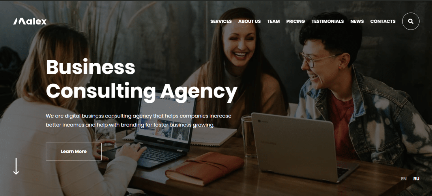 malex-financial-website-template