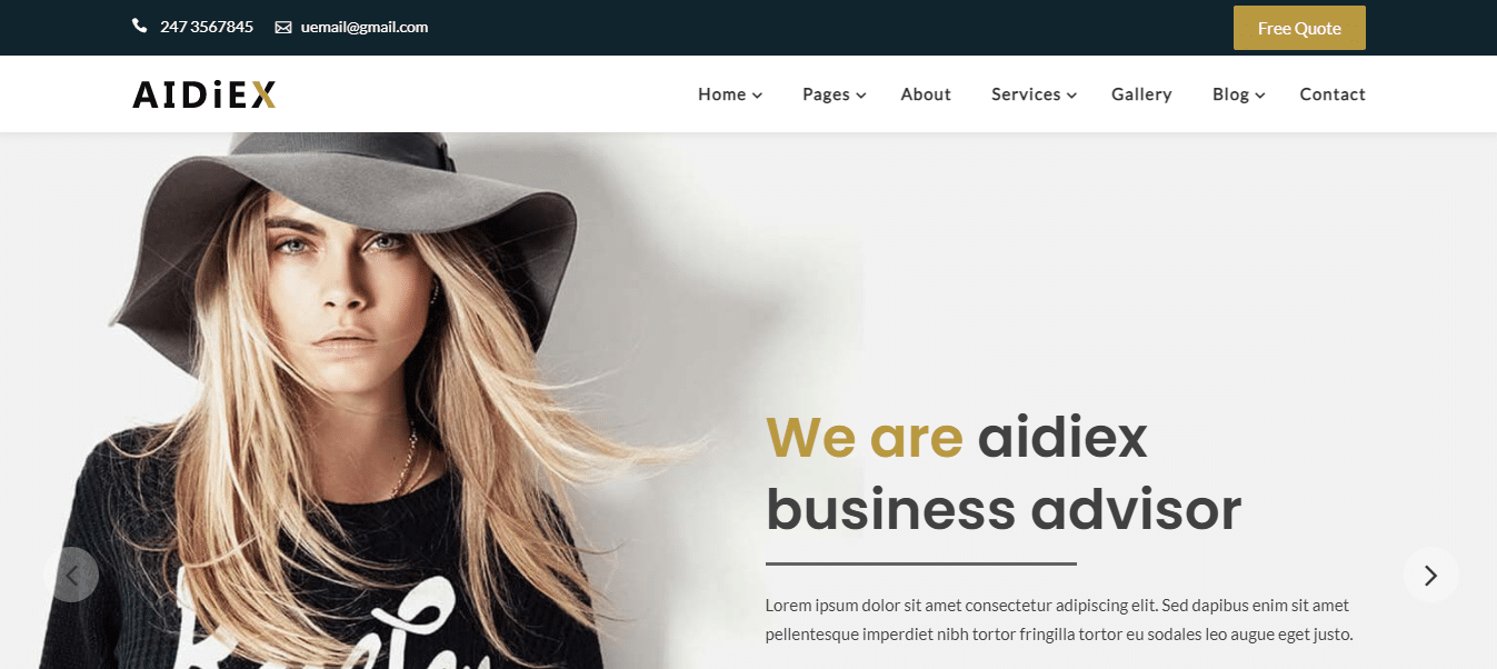 aidiex-consulting-website-template
