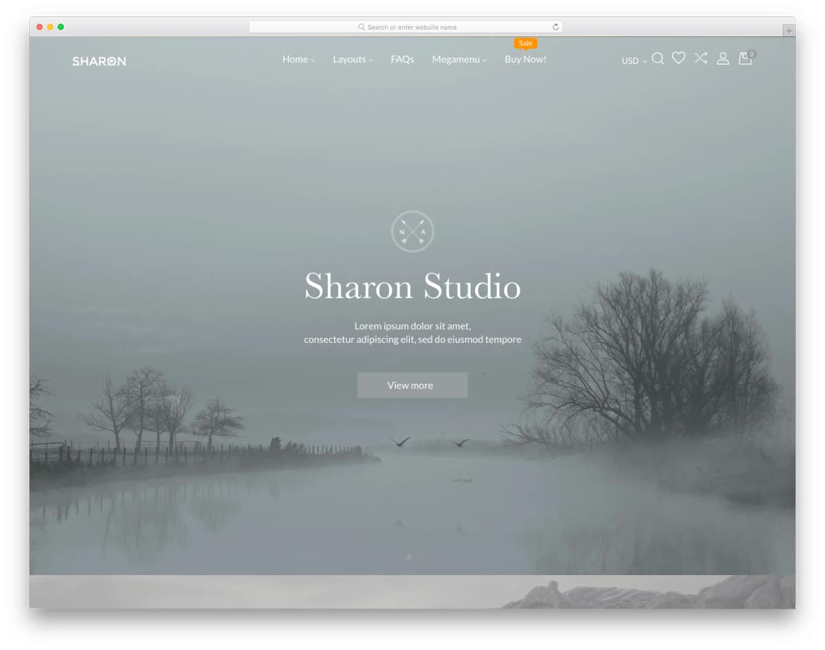 easy-to-handle Shopify parallax theme