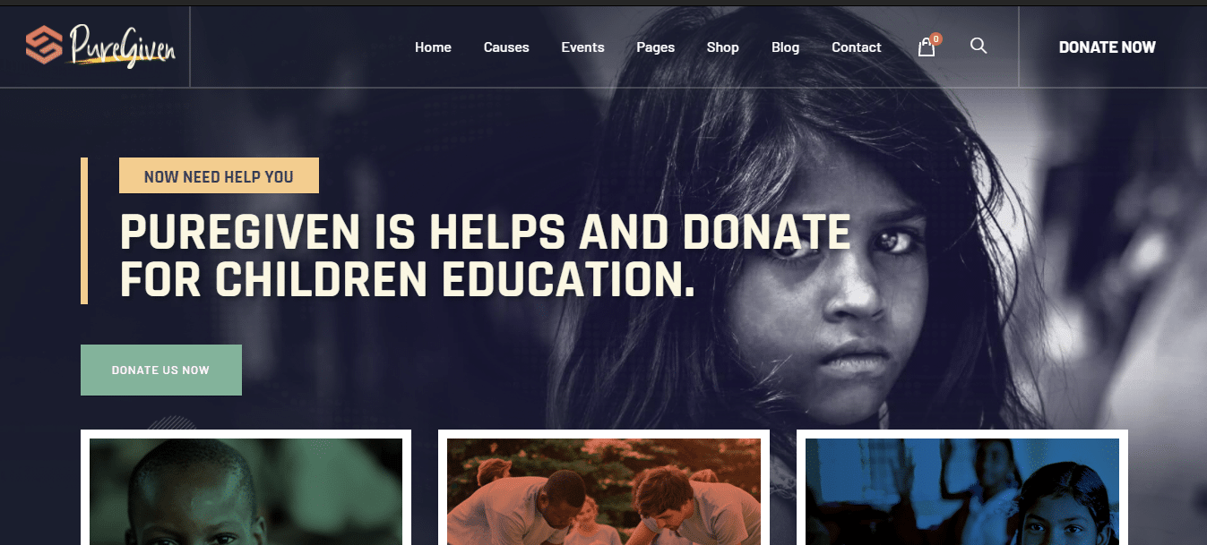 puregiven-political-website-template