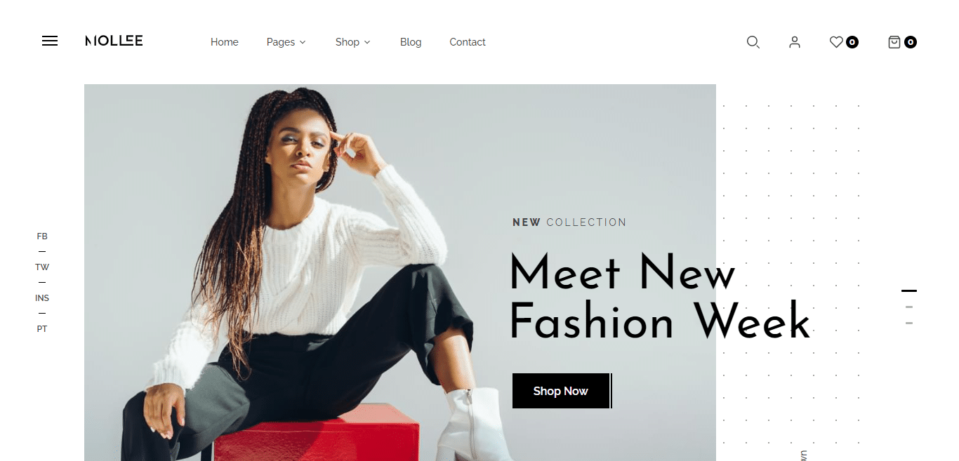 mollee-ecommerce-website-templat