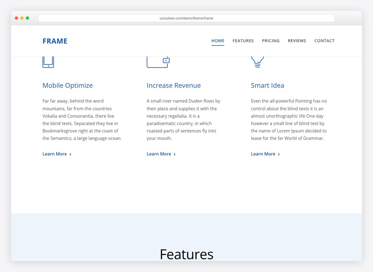 Frame template features section