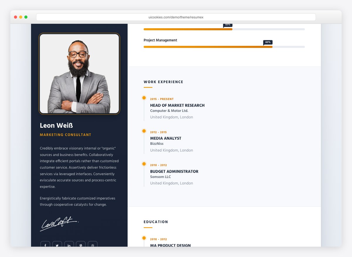 Resumex template skill meters and work-experience timeline