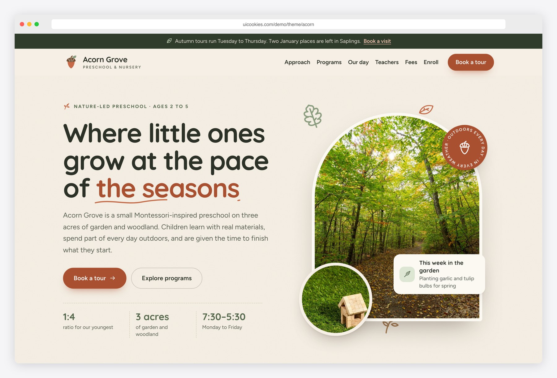 Acorn — Free Preschool Website Template preview