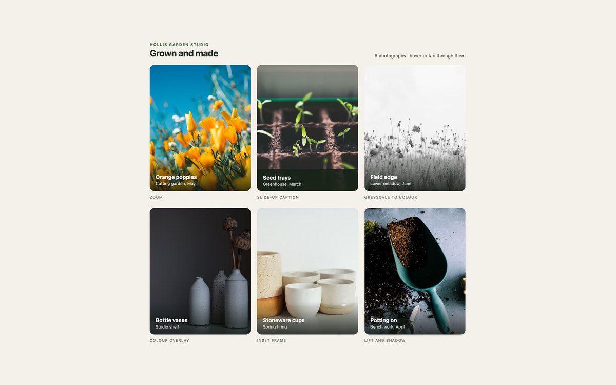 Image Hover Effect Galleries — free image gallery snippet in CSS, Bootstrap and Tailwind by uiCookies
