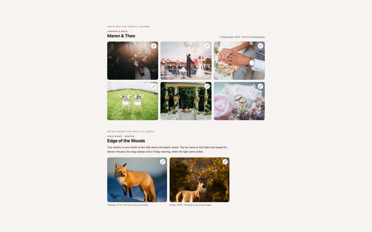 Lightbox Image Galleries — free image gallery snippet in CSS, Bootstrap and Tailwind by uiCookies